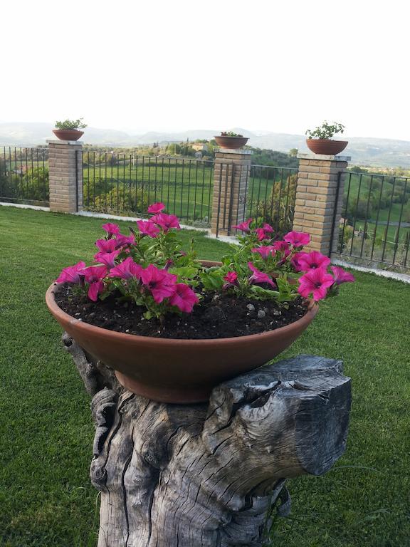 B&B La Piaggia Montemerano Room photo